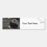 panda bear bumper sticker