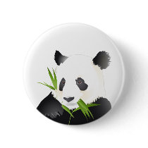 Panda Bear