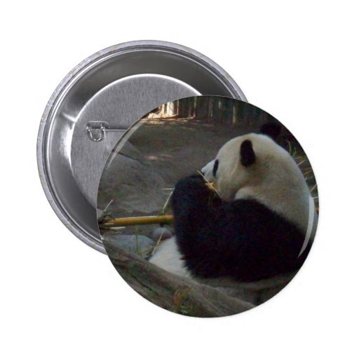 panda bear button