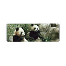 Panda bear eating and playing custom return address labels