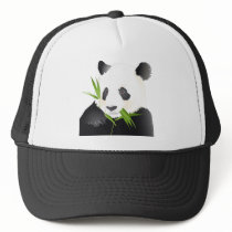 Panda Bear