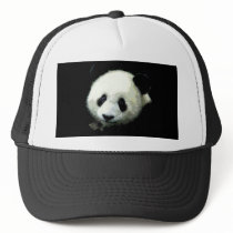 Panda Bear Hat