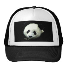 Panda Bear Hat
