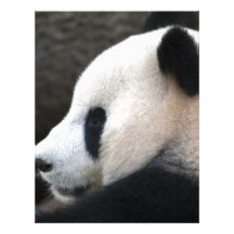 Panda Bear Hugs Letterhead Template