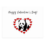 Panda Bear Love Post Cards