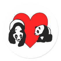 Panda Bear Love