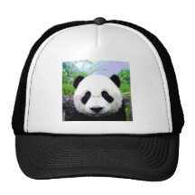Panda Bear Mesh Hat