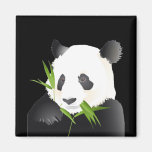Panda Bear Refrigerator Magnets