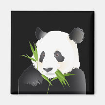 Panda Bear Refrigerator Magnets