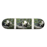 Panda Bear Skateboard