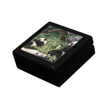 Panda Bears Gift Box