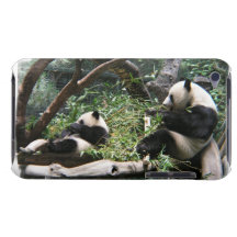 Panda Bears iTouch Case iPod Touch Case-Mate Case
