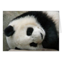Panda Cards