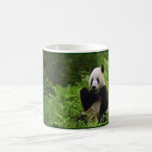 Panda Coffee Mug