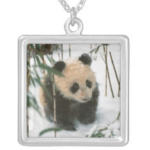 Panda cub on snow, Wolong, Sichuan, China 2 Pendant