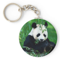 Panda Eating Leaves Key Chains