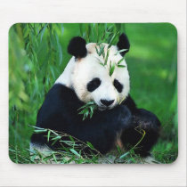 Panda Eating Leaves Mousepad