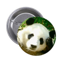 Panda Face Pinback Button