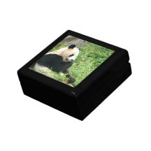 Panda  Gift Box