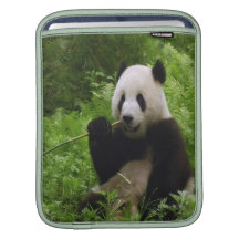 Panda Housses iPad