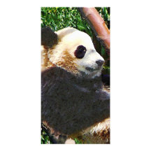 Panda in Tree Customized Photo Card