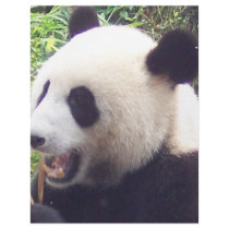 Panda Letterhead Template