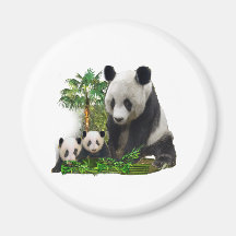 Panda Love art Magnets