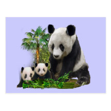 Panda Love art Post Card