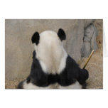 Panda M005 Greeting Cards