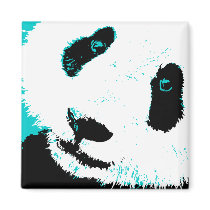 panda.