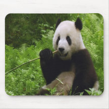 Panda Mouse Pads