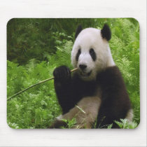 Panda Mouse Pads