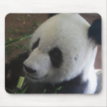 Panda mousepads