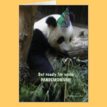 Panda pandemonium birthday party invitation! cards