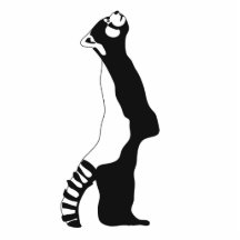 Panda Photo Cutout