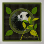 Panda  Poster