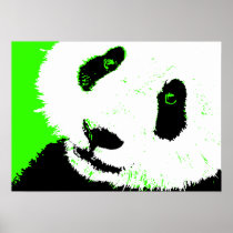 panda. poster