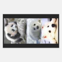 Panda-Seal-Mini American Eskimo Rectangular Stickers