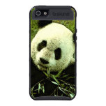Panda Skinit Cargo iPhone 5 Case