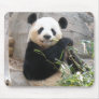 Panda Snack