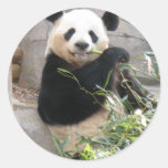 Panda Snack Stickers