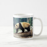 Panda Stroll Mugs