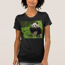 Panda t-shirts