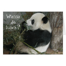 Panda, Wanna do lunch? card