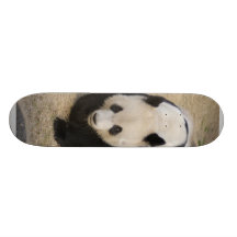 PandaM003 Skateboard