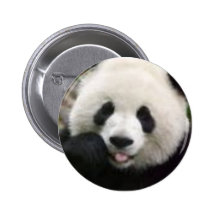 Pandas Buttons