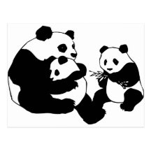 Pandas Post Cards