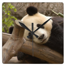 PandaSD010 Square Wallclock