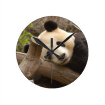 PandaSD010 Wall Clock