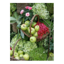 Panier des pommes cartes postales